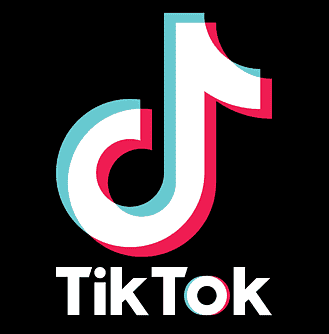 TikTok Video Downloader